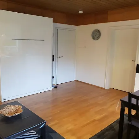 Fewo Muhlenkopfblick Appartement Willingen (Upland)
